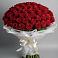 Букет 101 Красная роза Блэк Мэджик в Чистополе