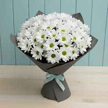 Букет цветов из:  Хризантемы в Чистополе