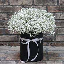 Цветочная композиция из Гипсофила в шляпной коробке #REPLACE_PRED# Чистополе