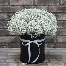 Цветочная композиция из Гипсофила в шляпной коробке в Чистополе