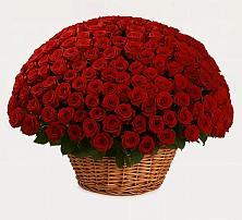 Премиум букет из: Розы в Чистополе