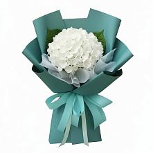 Букет цветов из:  Гортензия в Чистополе
